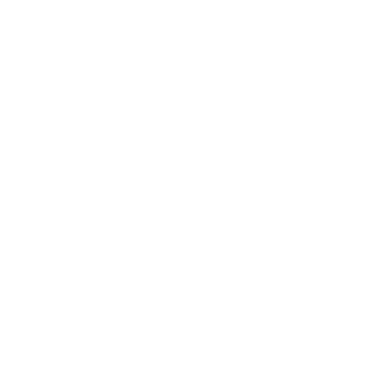 Security Services NZ